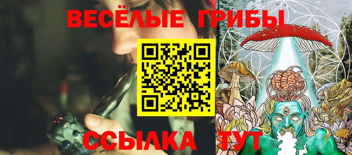 Псилоцибиновые грибы мухоморы Холмск